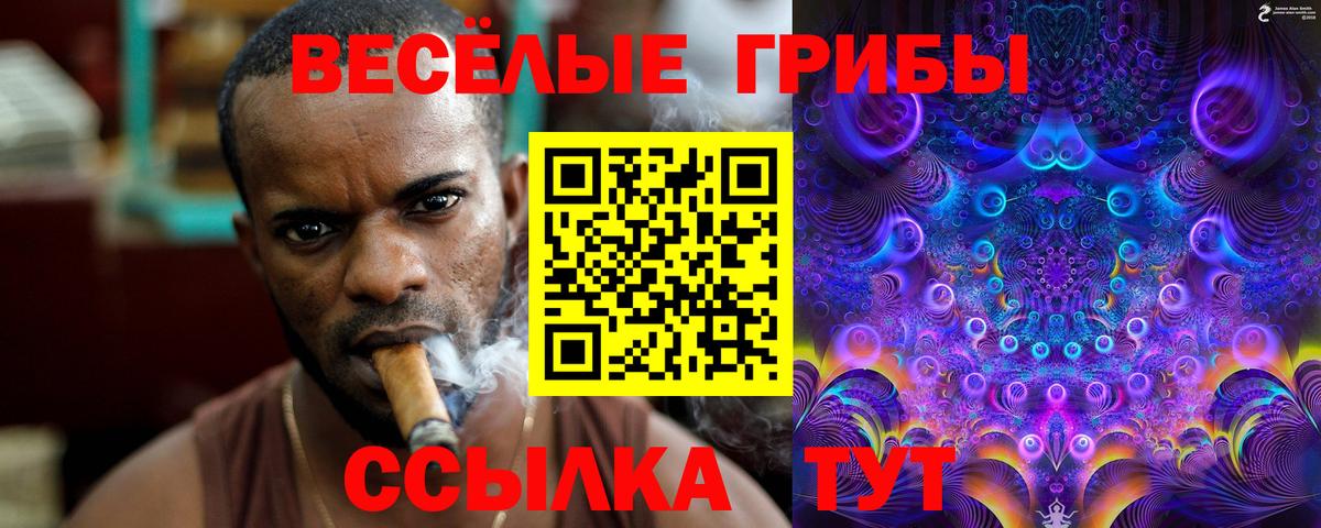 Галлюциногенные грибы мицелий Гатчина