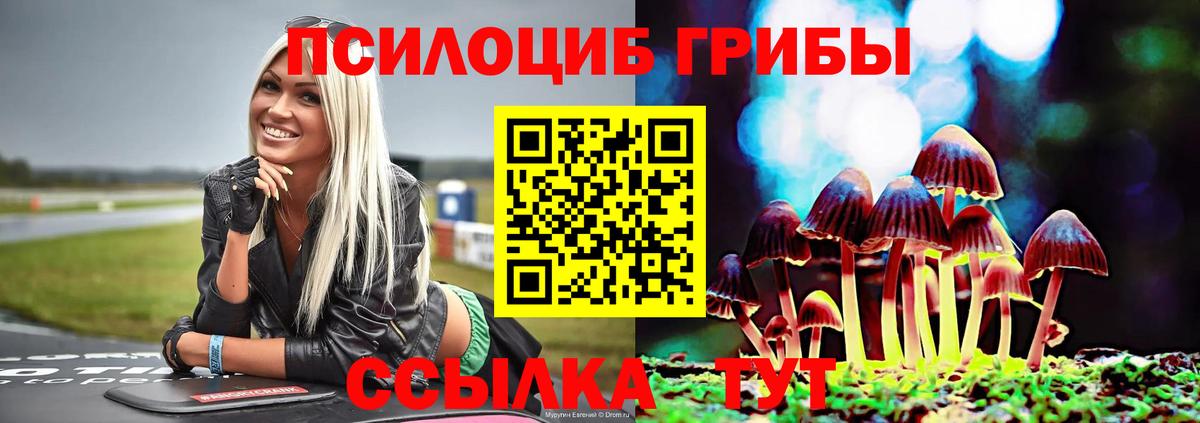 Псилоцибиновые грибы мухоморы  Вход с VPN  Гатчина 